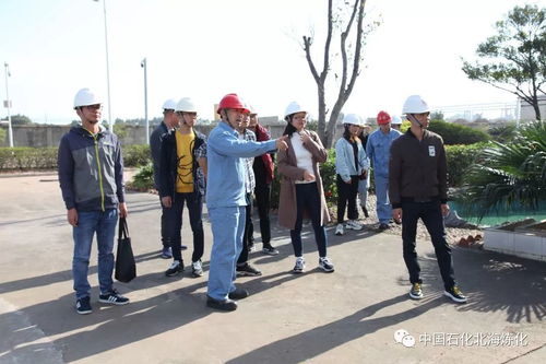 走綠色發(fā)展之路，樹環(huán)保標(biāo)桿企業(yè)——環(huán)境保護(hù)監(jiān)測(cè)的核心使命與實(shí)踐路徑